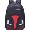 Graph design large school backpack with laptop compartment